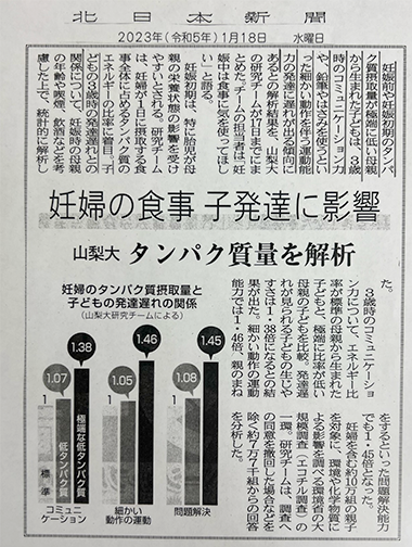 北日本新聞：妊婦の栄養不足に関する記事